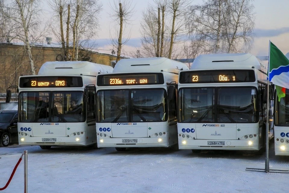 15 новых автобусов МАЗ начали курсировать по Новосибирску